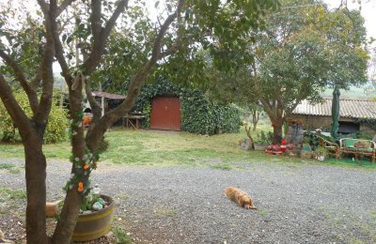 Foto 11
