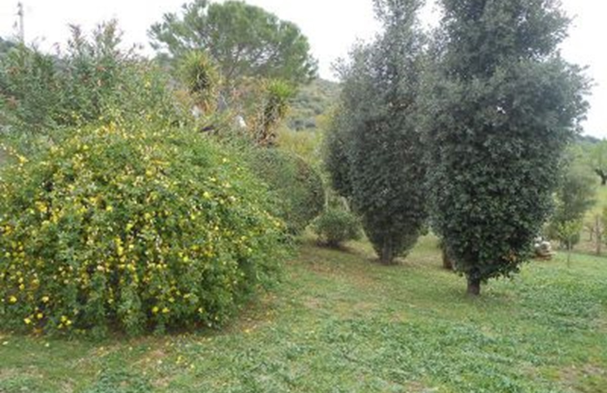 Foto 10