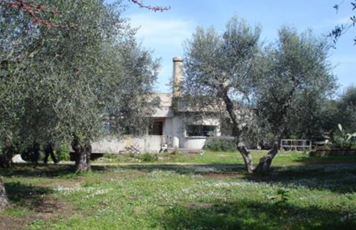 Foto 2