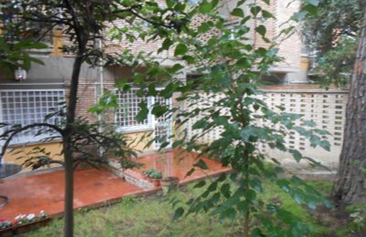 Foto 7