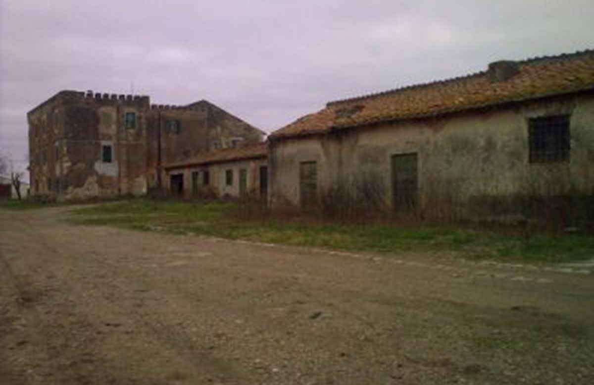 Foto 8