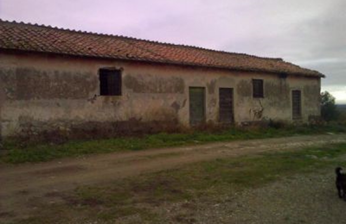 Foto 7